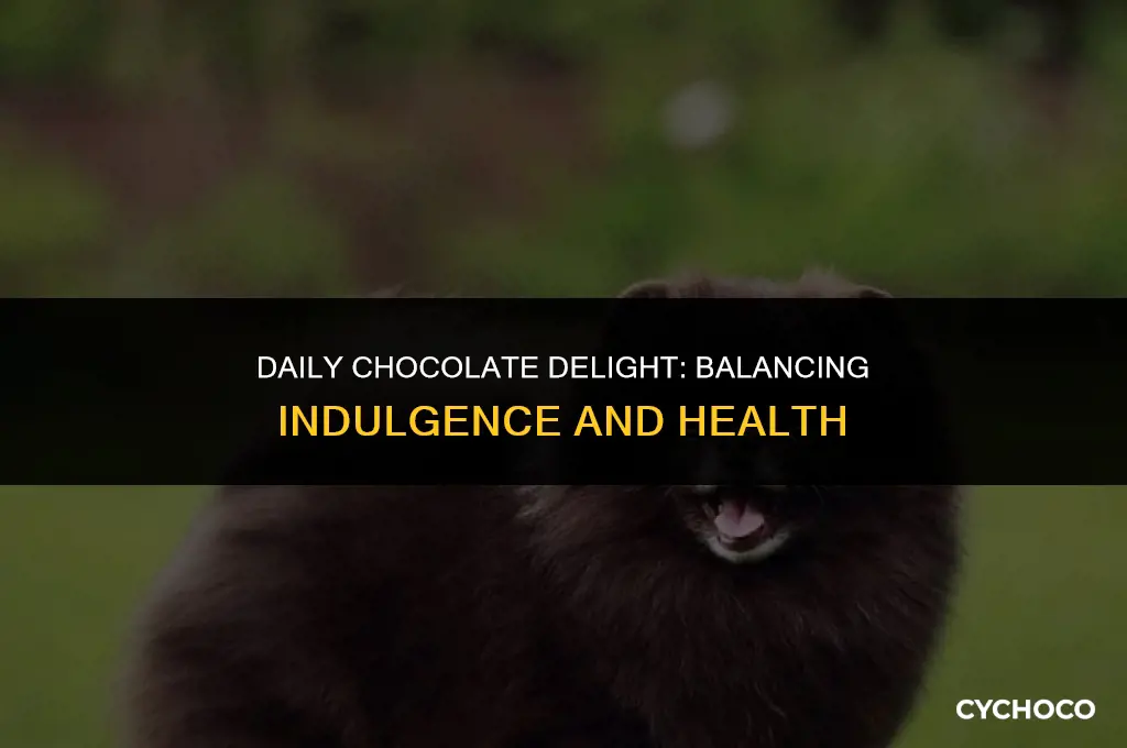 how much 70 chocolate per day