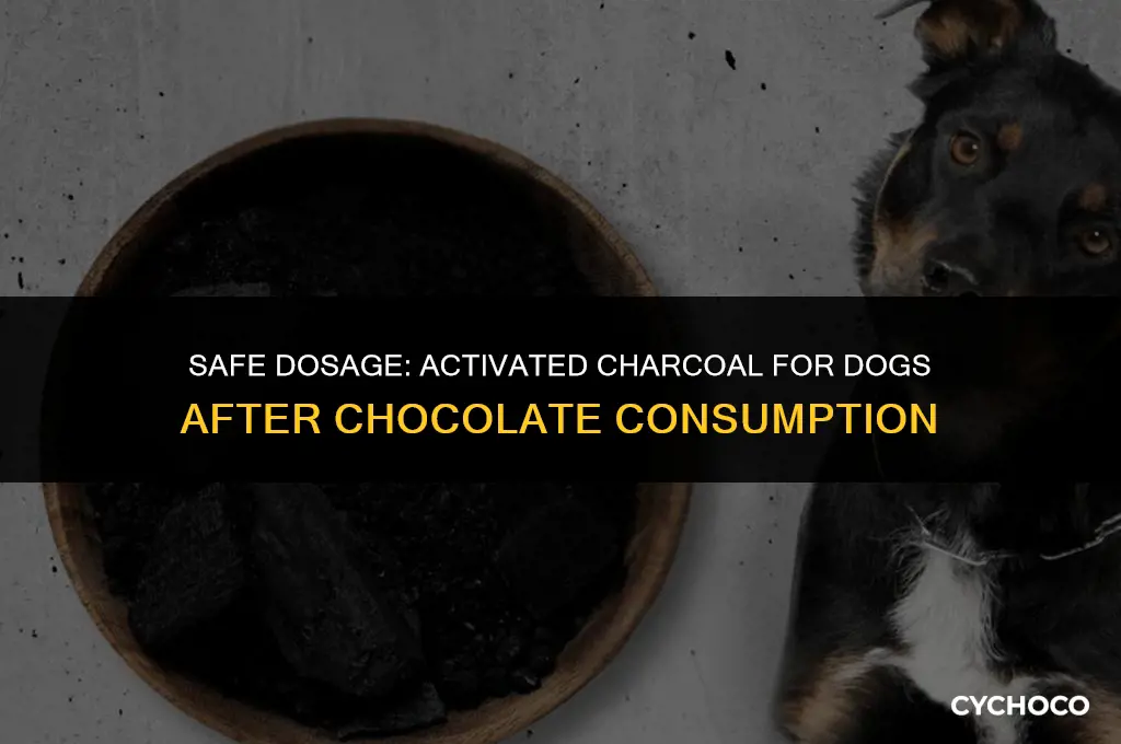 how much activated charcoal to give dog after chocolate