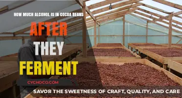 Exploring the Alcohol Content in Fermented Cocoa Beans