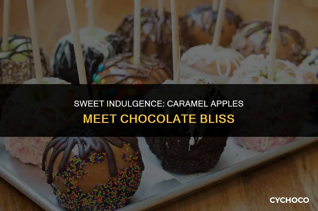 how much are caramel apples dipped in chocolate