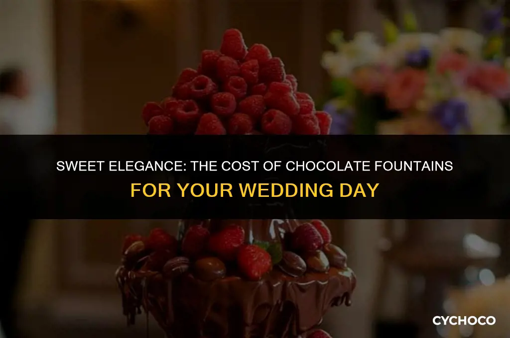 how much are chocolate fountains for weddings