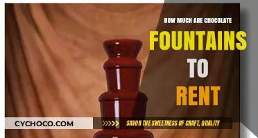 Sweet Celebrations: The Cost of Renting a Chocolate Fountain