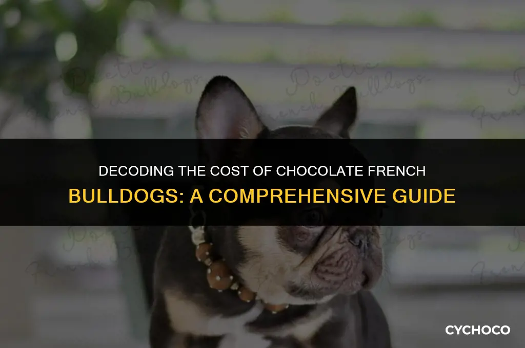 how much are chocolate french bulldogs