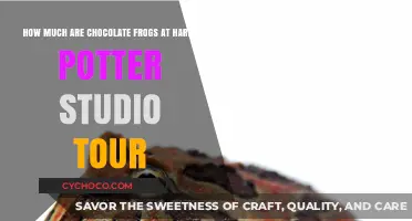 Discover the Magical Price of Chocolate Frogs at the Harry Potter Studio Tour