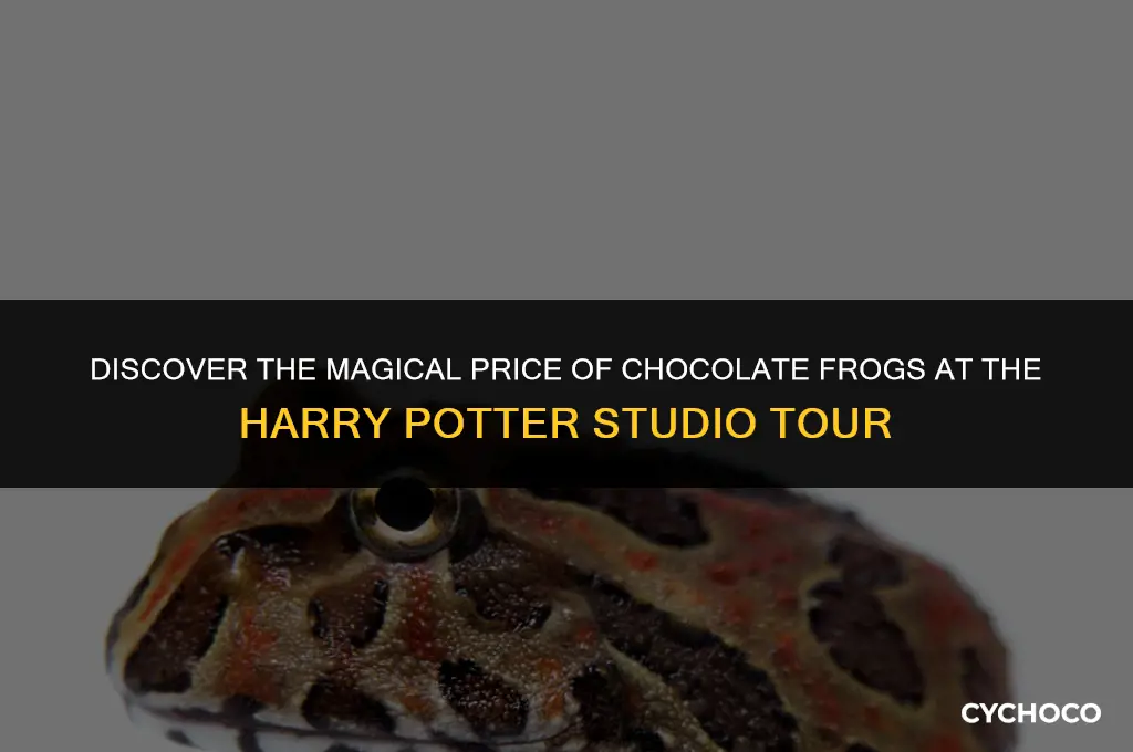 how much are chocolate frogs at harry potter studio tour
