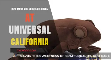 Sweet Treats at Universal California: Chocolate Frogs Price Guide