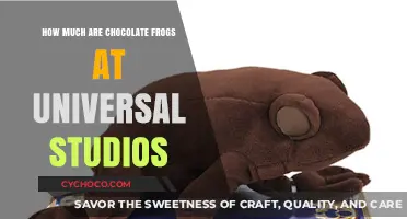 Sweet Treats at Universal: The Cost of Chocolate Frogs Revealed
