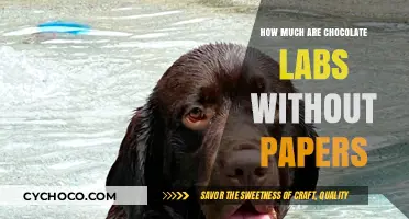 Exploring the Cost of Chocolate Labs Without Papers