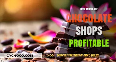Unwrapping Profits: The Sweet Success of Chocolate Shop Ownership
