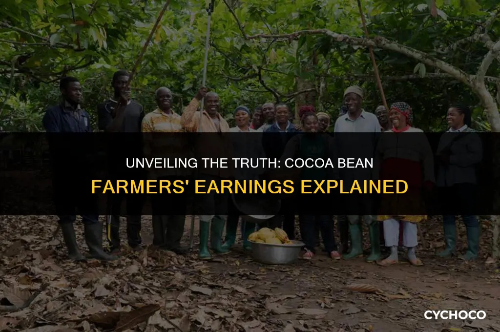 how much are cocoa beans farmers paid