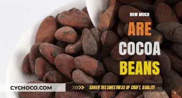 Exploring the Cost of Cocoa Beans: A Comprehensive Guide