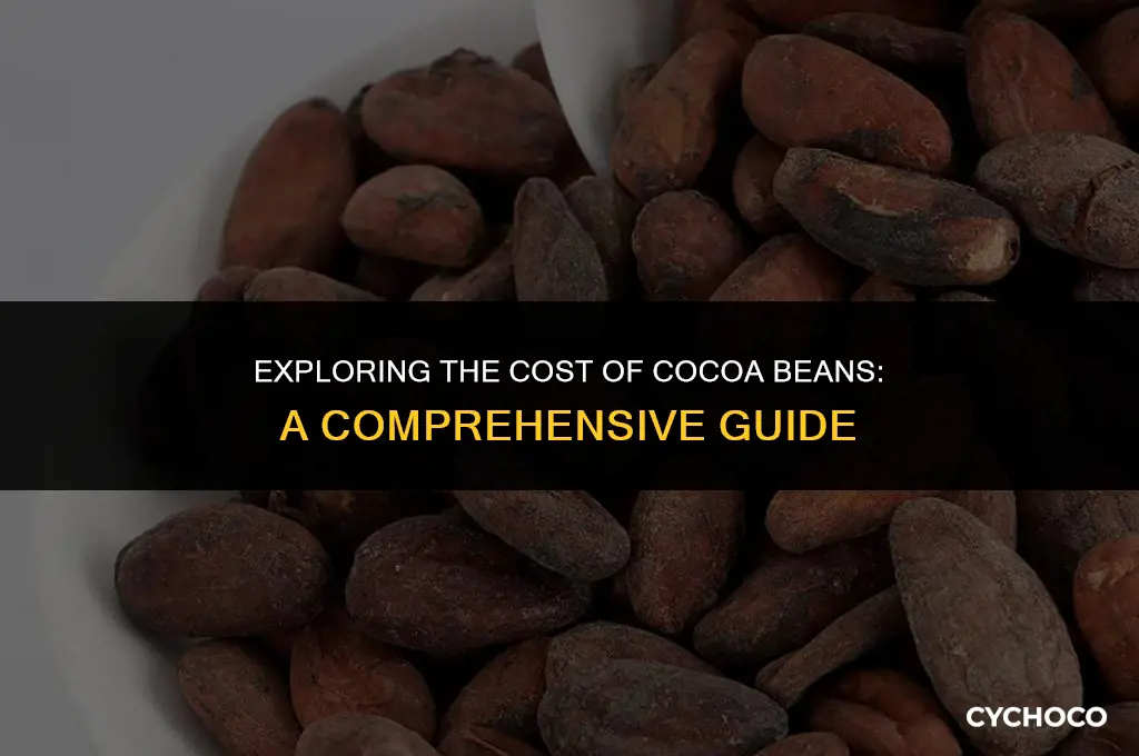how much are cocoa beans