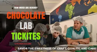 Sweet Treats Await: Hershey Chocolate Lab Ticket Prices Unwrapped