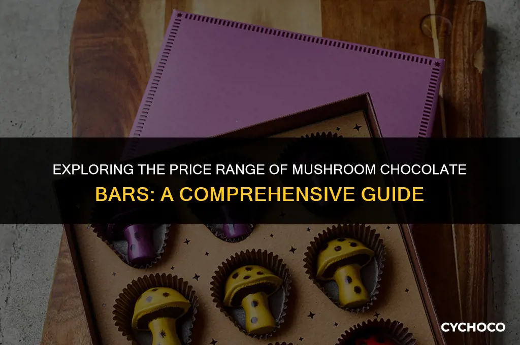 how much are mushroom chocolate bars