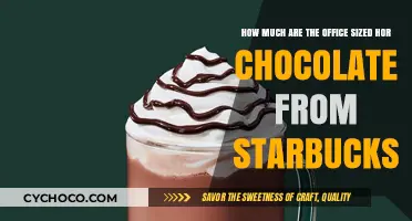 Starbucks Office-Sized Hot Chocolate: A Price Breakdown