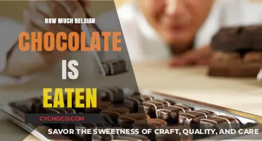 Indulgence in Every Bite: The Surprising Amount of Belgian Chocolate Eaten
