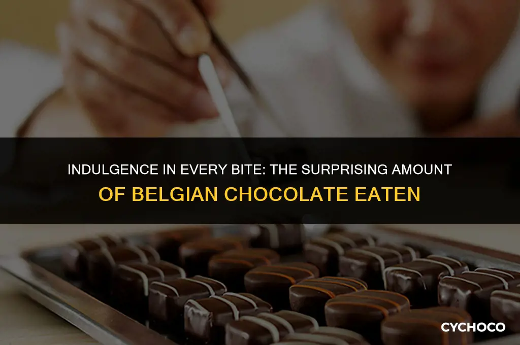 how much belgian chocolate is eaten