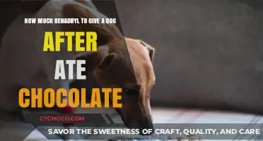 Safe Dosage: Benadryl for Dogs Who Ate Chocolate