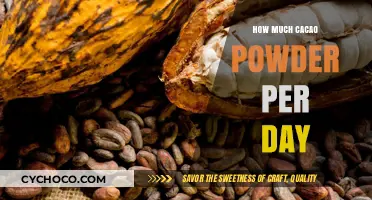Daily Cacao Powder Intake: Finding the Perfect Balance for Health