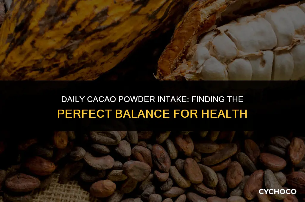 how much cacao powder per day