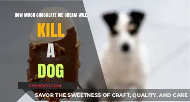 The Lethal Scoop: Chocolate Ice Cream's Toxic Threat to Dogs