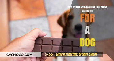 Decoding the Sweet Spot: Safe Chocolate Limits for Dogs