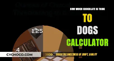 Decoding Doggy Danger: The Chocolate Toxicity Calculator