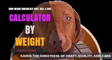 Chocolate Toxicity Calculator: Assess the Risk for Your Dog's Weight