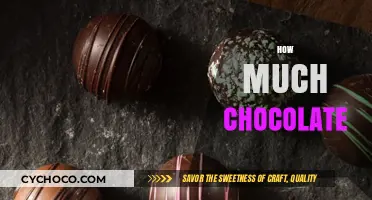 Decoding the Perfect Chocolate Portion: A Guide to Indulgence