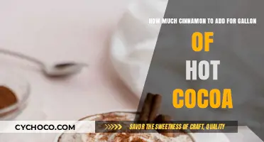 Spice Up Your Hot Cocoa: The Perfect Cinnamon Ratio Revealed!