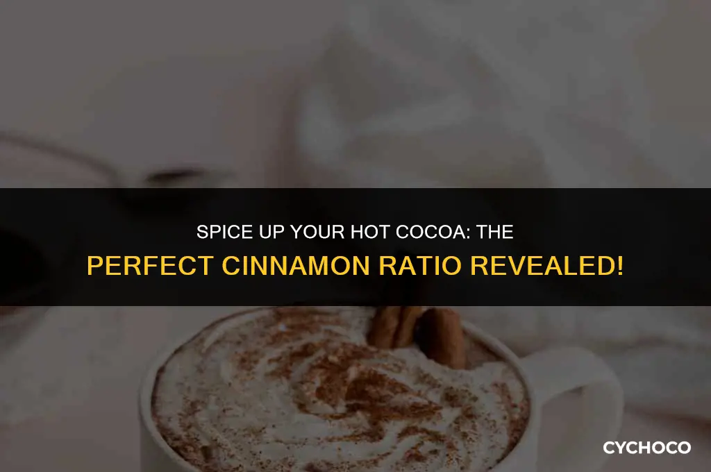 how much cinnamon to add for gallon of hot cocoa