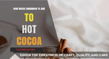 Spice Up Your Hot Cocoa: The Perfect Cinnamon Ratio Revealed!