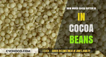 Unlocking the Richness: Cocoa Butter Content in Cocoa Beans Explained