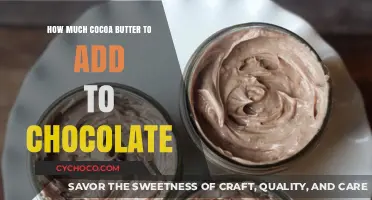 The Perfect Blend: Cocoa Butter's Role in Chocolate Making
