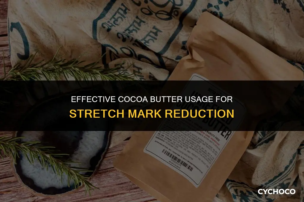 how much cocoa butter to take away stretch marks