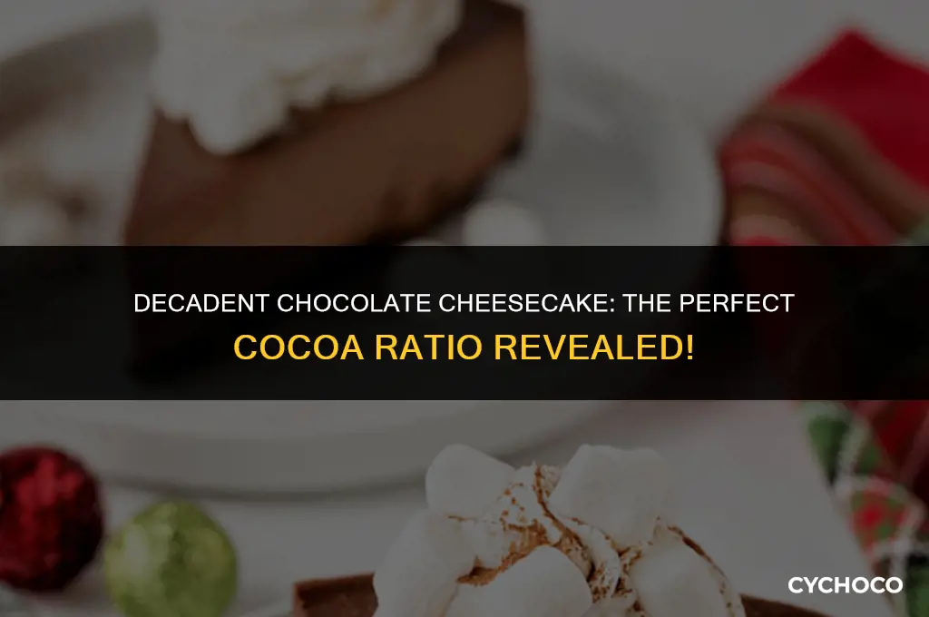 how much cocoa do you put in chocolate cheesecake