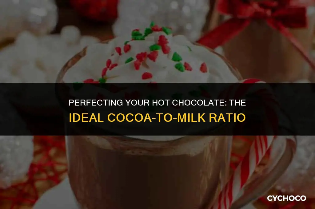 how much cocoa do you put in hot chocolate