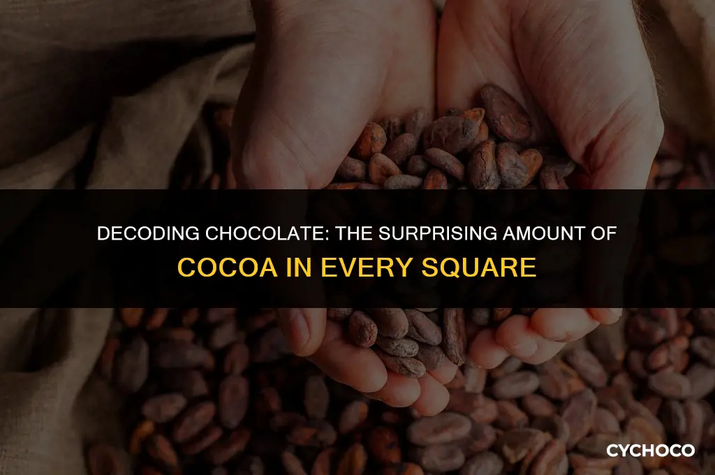 how much cocoa equals 1 square chocolate