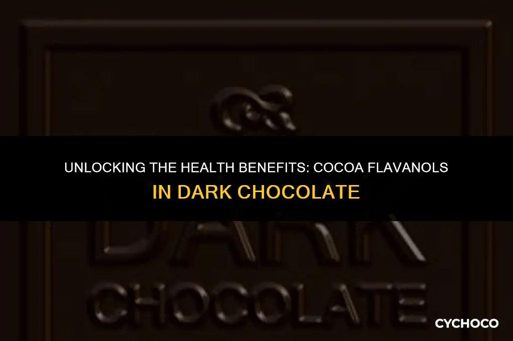 how much cocoa flavanols in dark chocolate