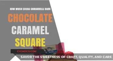 Indulge in Richness: Ghirardelli Dark Chocolate Caramel Square Delight