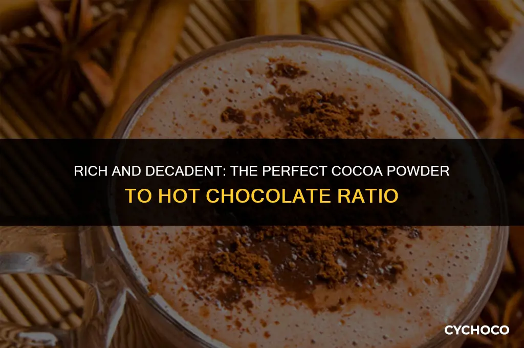 how much cocoa powder in hot chocolate