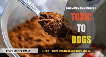 Cocoa Powder Toxicity in Dogs: Understanding the Risks and Symptoms