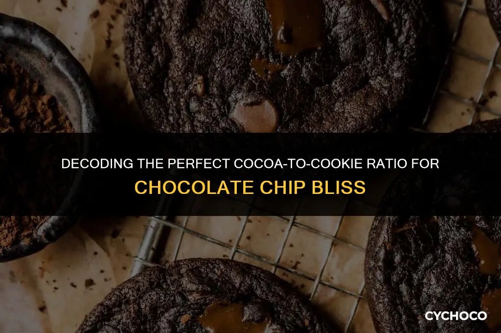 how much cocoa to add to chocolate chip cookies