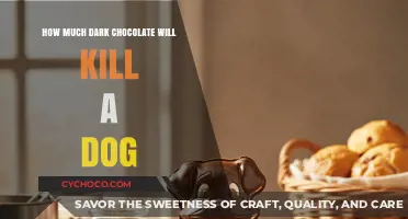 The Lethal Dose: Dark Chocolate's Deadly Threat to Dogs