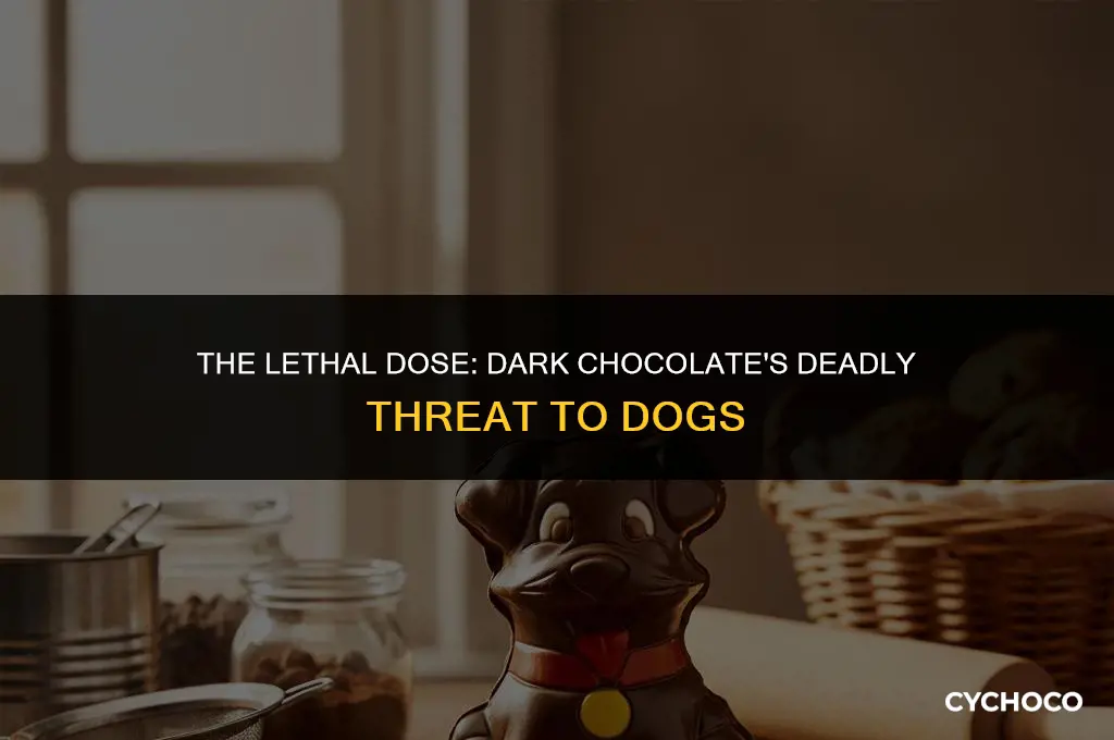 how much dark chocolate will kill a dog