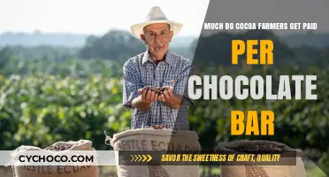 Unveiling the Bitter Truth: Cocoa Farmers' Earnings per Chocolate Bar