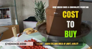 Sweet Investments: The Cost of Owning a Chocolate Fountain