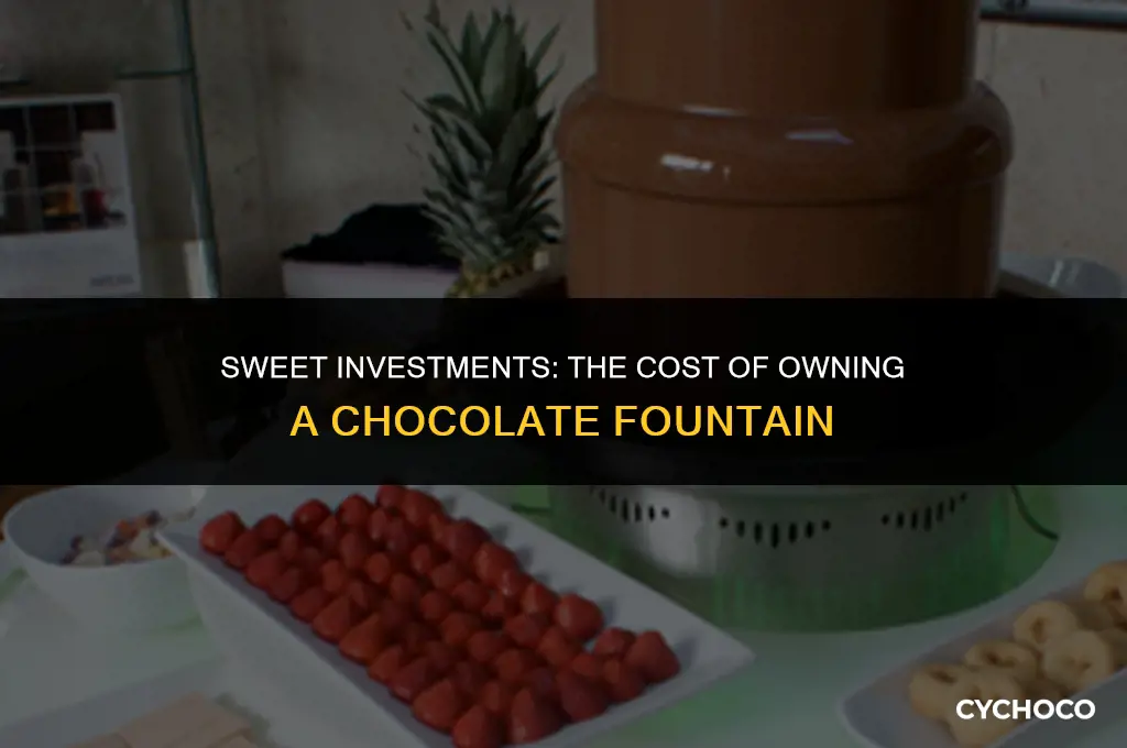 how much does a chocolate fountain cost to buy