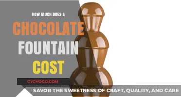 Chocolate Fountain Costs: A Comprehensive Price Guide for Buyers