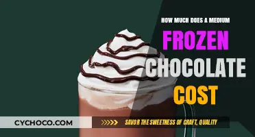 Medium Frozen Chocolate Price: Cost Breakdown and Value Analysis